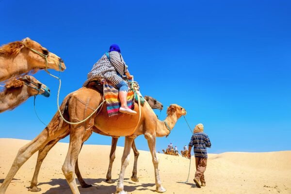 Camel Trekking Dubai
